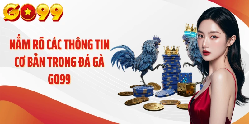 Đá Gà Go99 - Bước Vào Thế Giới Chiến Kê Đầy Kịch Tính 1 Nắm rõ các thông tin cơ bản trong đá gà Go99