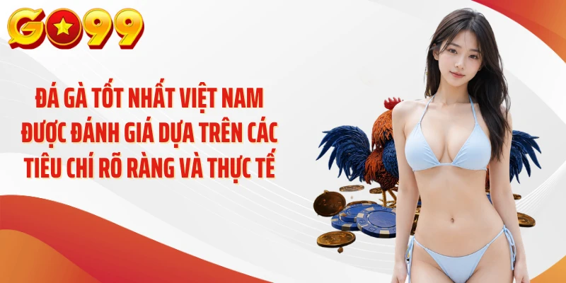 Đá Gà Tốt Nhất Việt Nam: Tiêu Chí Chọn GO99 Đáng Tin Cậy 2 Đá gà tốt nhất Việt Nam được đánh giá dựa trên các tiêu chí rõ ràng và thực tế