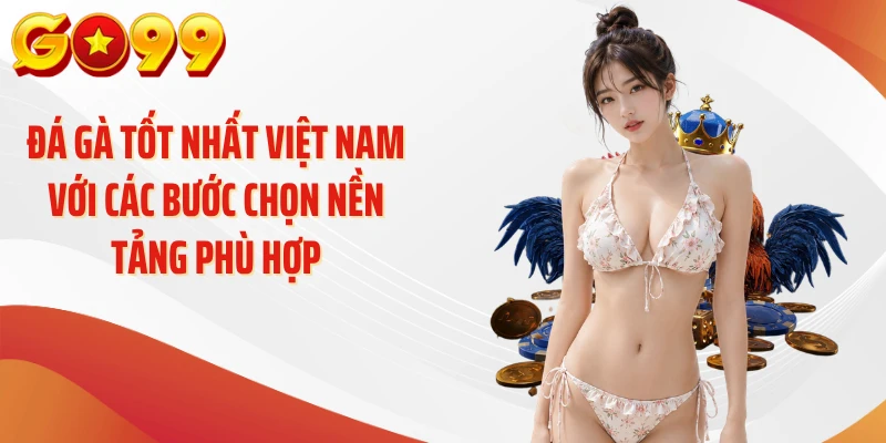 Đá Gà Tốt Nhất Việt Nam: Tiêu Chí Chọn GO99 Đáng Tin Cậy 4 Đá gà tốt nhất Việt Nam với các bước chọn nền tảng phù hợp